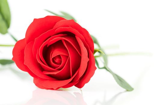 Single Red plastic fake roses on white background for Valentine's Day