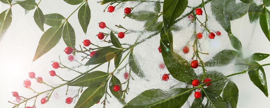 Flowers arrangement. Japanese bamboo frozen in ice. Unusual florist composition design