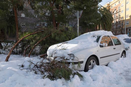 Madrid, Spain - January 10, 2021: Broken branches of the trees due to the excess weight of snow and ice next to parked cars, on a snowy day, due to the Filomena polar cold front.