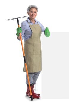Mature asian woman gardener with rake standing behind blank banner with empty copy space for text isolated on white background