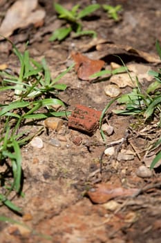 Broken brick litter in the dirt near grass