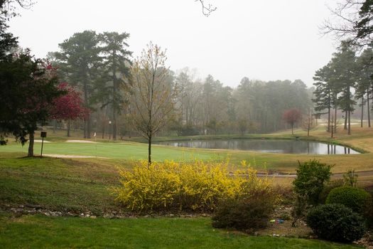 Spring Blooms at a Golf Course