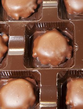 Close up of chocolates filled with caramel and pecans