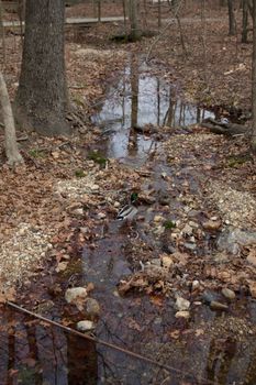 Scenes from Lake Catherine state park in Arkansas