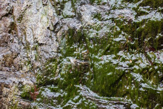 Scenes from Lake Catherine state park in Arkansas