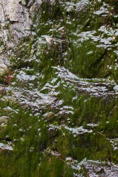 Scenes from Lake Catherine state park in Arkansas