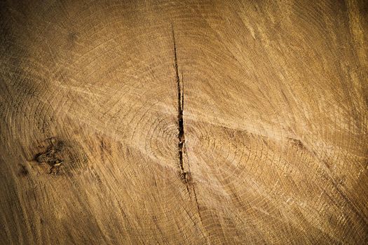 Tree trunk cross section background with a crack through the middle