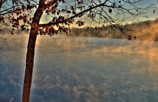 Chilly, misty morning on Lake DeSoto, Arkansas