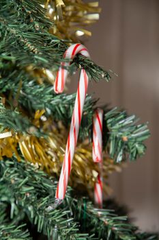 Two candy canes on an artificial Christmas tree over golden tinsel