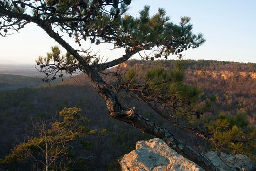 Petit Jean State Park, Arkansas