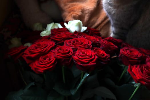 Bouquet of red roses in the background a bouquet of white roses