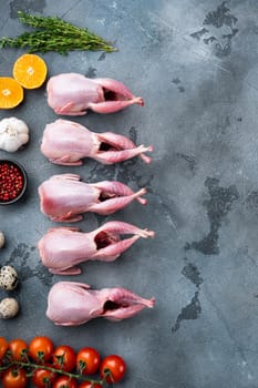 Whole quails meat with spices, herbs, vegetables, top view, on grey background with copy space