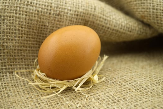 Fresh brown egg on burlap sack. Organic farming background with copy space