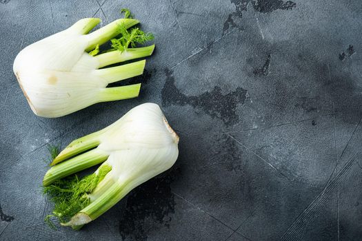 Genuine fresh raw fennel, on grey background, top view with space for text