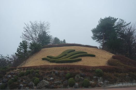 A beautiful grass cutting shape on a small muddy mountain in a public park