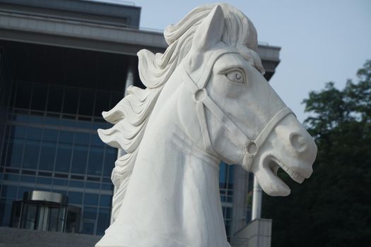 CHUNCHEON, SOUTH KOREA- October-03, 2020: Marble sculpture of a horse's head. A photograph of a horse's head. Fragment of sculpture composition