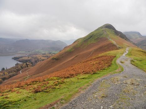 View from Skelgill Bank looking to the summit of Cat Bells with Derwent Water below, Lake District, UK
