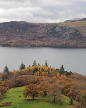 View over the trees in Brandlehow Park on the edge of Derwent Water with the eastern fells in cloud behind, Lake District, UK