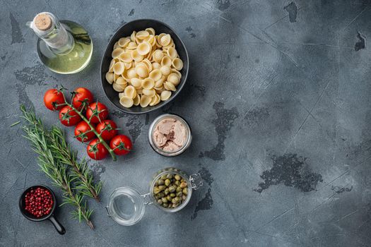 Pasta almentica with seafood ingredient, on gray background, top view with copy space for text