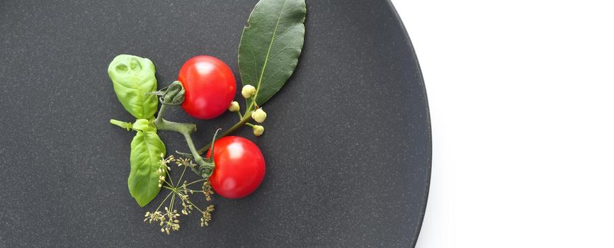 Table arrangement with tomato and basil on black plate on white background. Food preparation, presentation