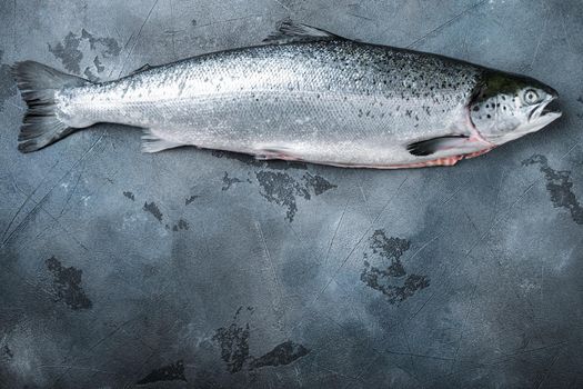 Fresh rainbow trout on grey background, flat lay with space for text.