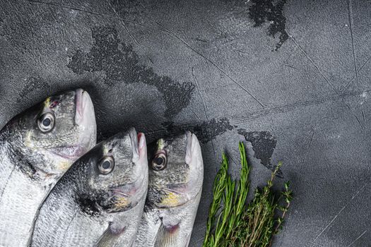 raw set of sea bream or Gilt head bream dorada fish with herbs pepper lime tomato for cooking and grill on grey textured background, side view with space for text