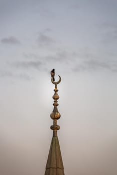 The Crow Sits On The Minaret In Istanbul, Turkey.