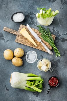 Fennel and artichoke with parmesan raw ingredient, on grey background, flat lay