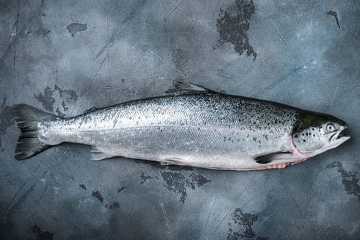 Whole raw salmon on grey background, top view with space for text.