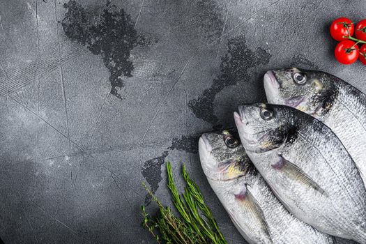 raw set of seabream or Gilt head bream orata fish with herbs pepper lime tomato for cooking and grill on grey textured background, top view with space for text