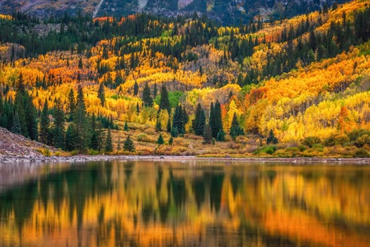 Autumn aspen trees reflected in the lake. Maroon bells at autumn season in in Aspen Colorado, USA.