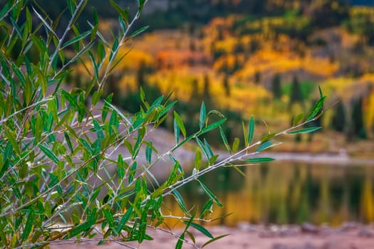 Maroon bells at autumn season in in Aspen Colorado, USA.