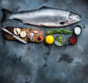 Fresh whole salmon on grey background, top view with space for text.