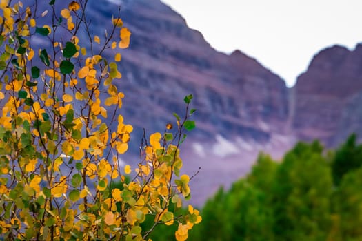 Maroon bells at autumn season in in Aspen Colorado, USA.