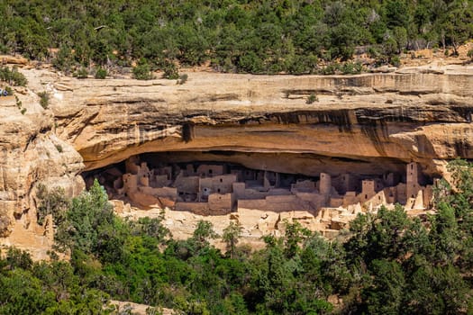 Cliff Palace ruins at Mesa Verde National Park, USA.
