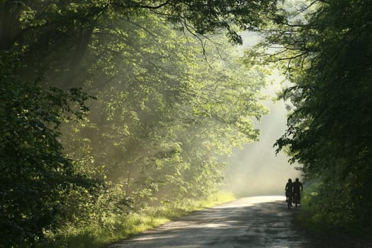 Cyclists ride a country road through the spring forest after rainfall