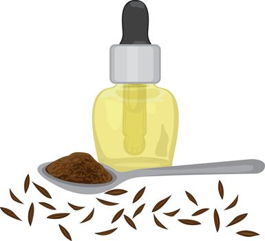 Cumin Zira seeds, powder in a spoon, and essential oil vector illustration isolated on a white background