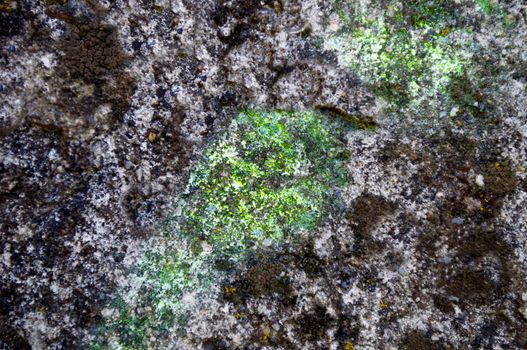 The surface of the old stone is covered with lichen and fungus.Texture or background