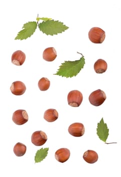 Closeup of hazelnuts, isolated on the white background, clipping path included.