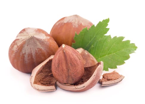 Closeup of hazelnuts, isolated on the white background, clipping path included.