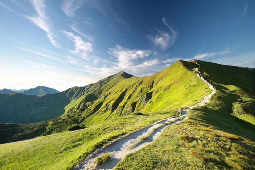 Trail to the peak in the Carpathian Mountains on the Slovak-Polish border.