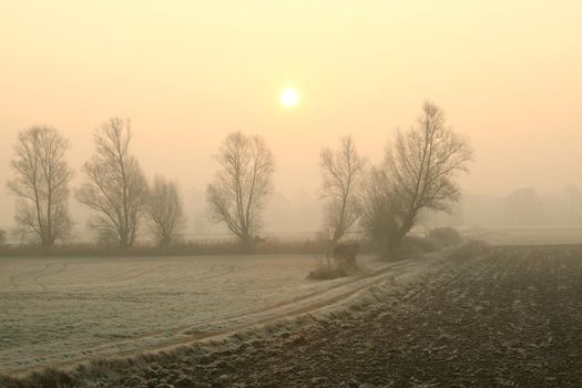 Rural landscape in the foggy November morning.