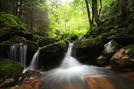 Forest stream flowing down from the mountain.