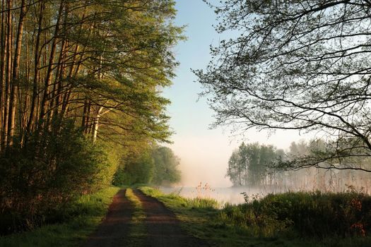 Country road on the edge of the lake during sunrise.