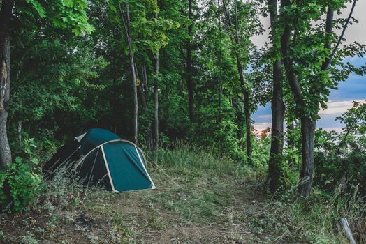 One green tent in summer forest.