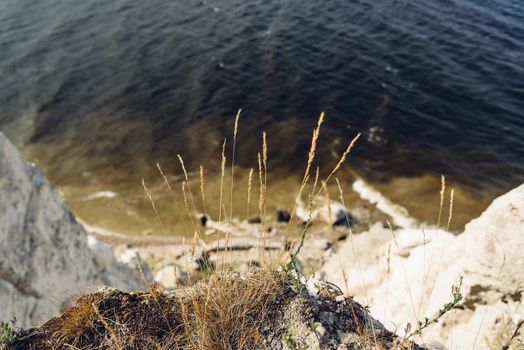 Grass on the edge of cliff. Selective focus