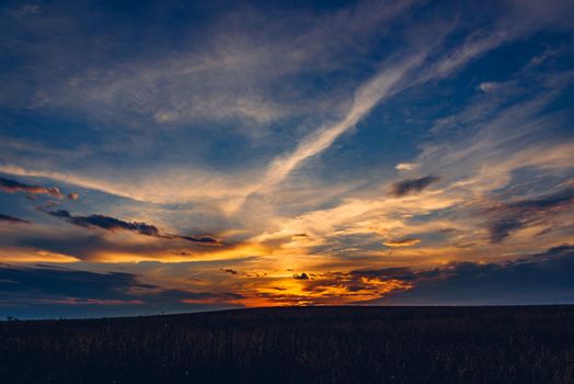 Dramatic sunset sky over the cereal field