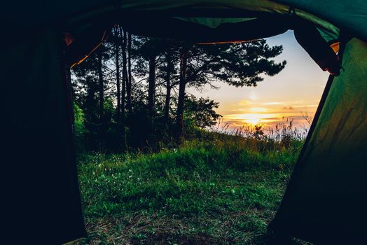 A view from inside a tent after waking up in the forest on Volga river