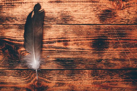 Hawk feather over old wooden table. View from above