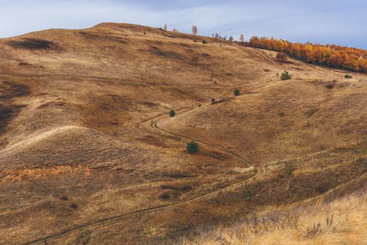 S curve of dirt road on the hillside